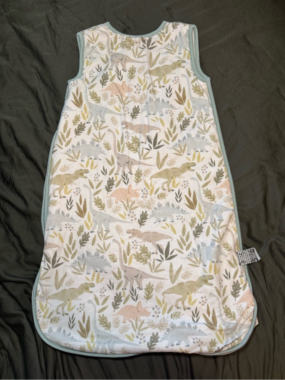 Dino Print Sleep Sack: 6-12 months
